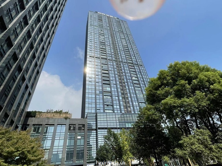 信雅达国际